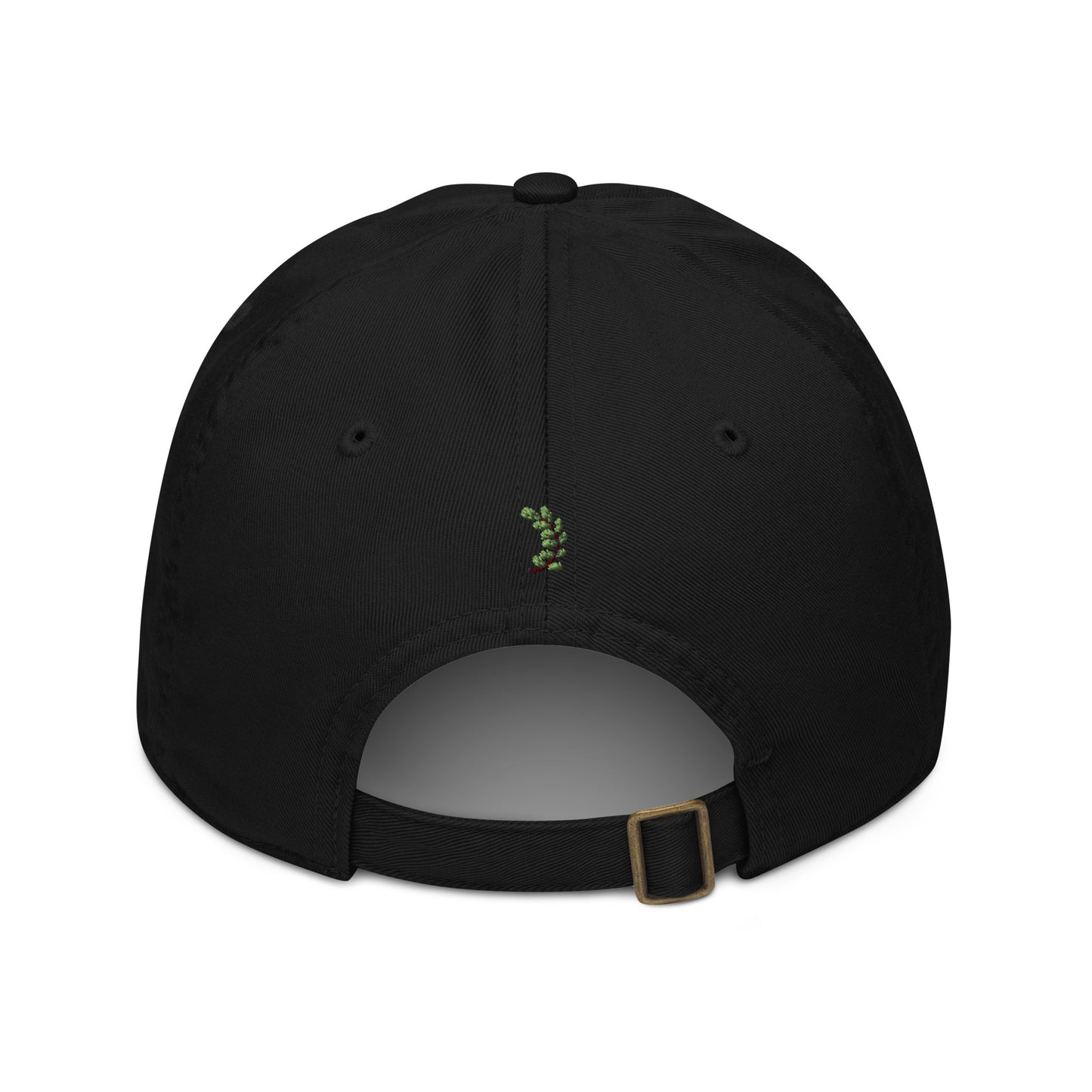 Noah's VRK Organic dad hat