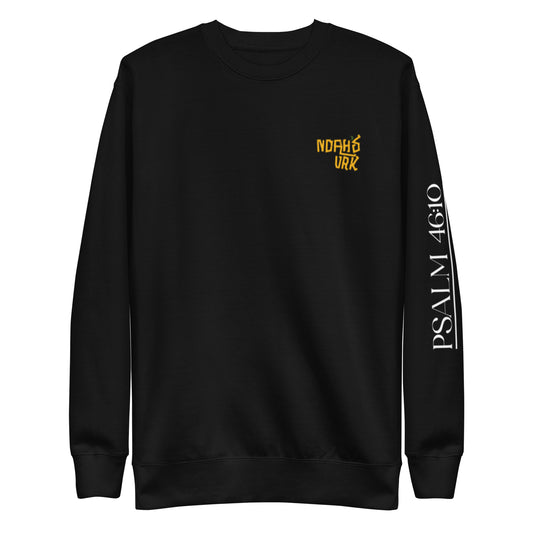 Noah's VRK Promise Of Hope Unisex Premium Sweatshirt